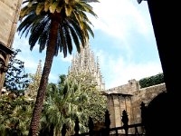 Barcelona Cathedral cloister