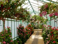 Royal Greenhouse of Laeken