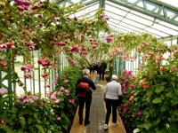 Royal Greenhouse of Laeken