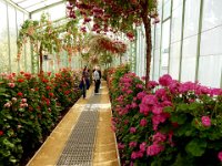 Royal Greenhouse of Laeken