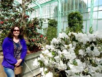 Anna in the Royal Greenhouse of Laeken : Anna Stenson