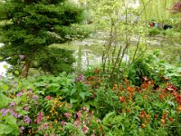 Monet's garden in Giverny