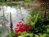 Monet's garden in Giverny