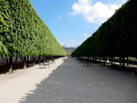 Jardin du Palais Royal