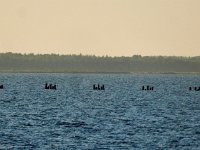 Strange formation on Svir river  On board Viking Akun